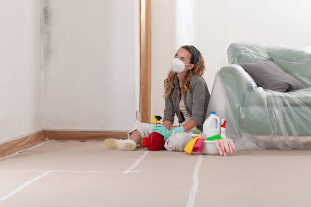 Reliable Mold Removal contractor in Grandy, NC by WQB Mold Removal